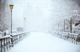 雪地松鼠(迎接冬季，让我们了解可爱的雪地松鼠！)